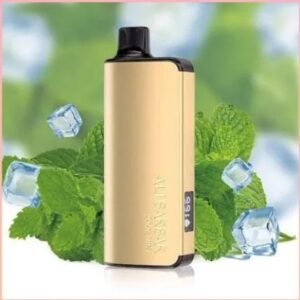 Alibarbar INGOT 20000 Puffs Cool Mint Flavour